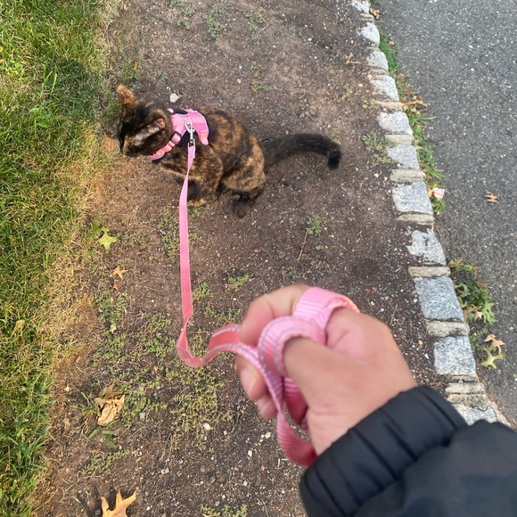 Meet your Posher, Dave - Picture 4 of 7